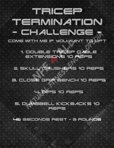 Tricep Termination Challenge 1 gym poster/sign